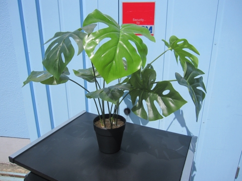 フェイクグリーン　観葉植物　造花　H500mm程度