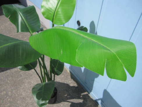 フェイクグリーン　観葉植物　造花　H1000mm程度