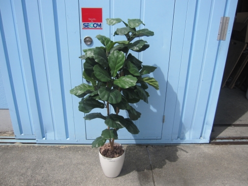 フェイクグリーン　観葉植物　H1500mm程度