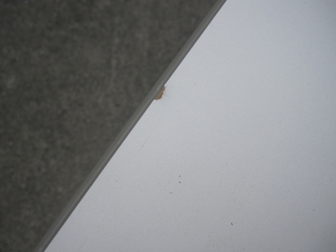 会議用テーブル　ホワイト　1800ｘ450ｘ720　スタックテーブル