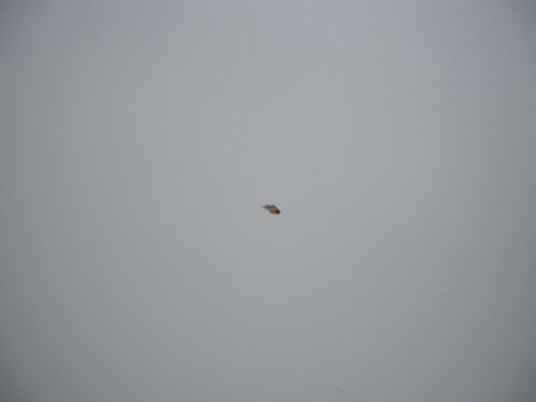 特価！　会議用テーブル　幕板付き　ニューグレー　1800ｘ450ｘ700　天板傷あり