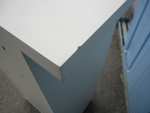 受付カウンター　ホワイト　600ｘ450ｘ1010　天板角傷あり