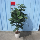 フェイクグリーン 観葉植物 H1500mm程度